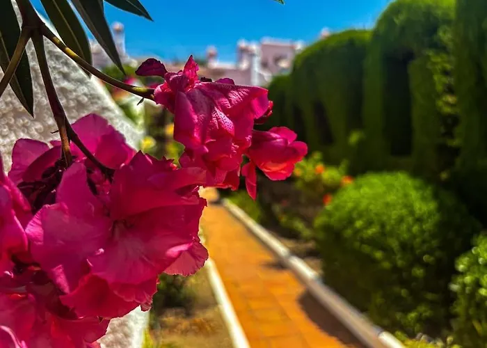 A2406 Capistrano Village,