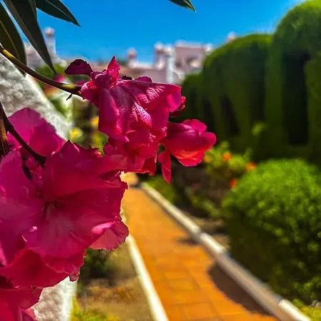 A2406 Capistrano Village,